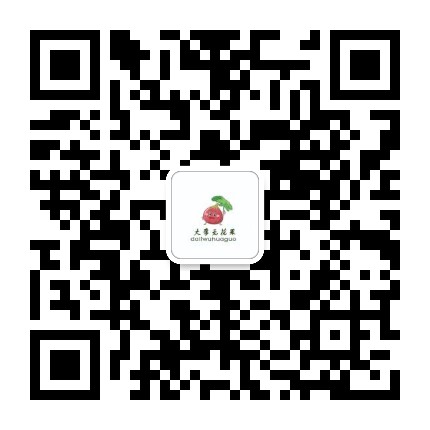 大李无花果种植专业合作社